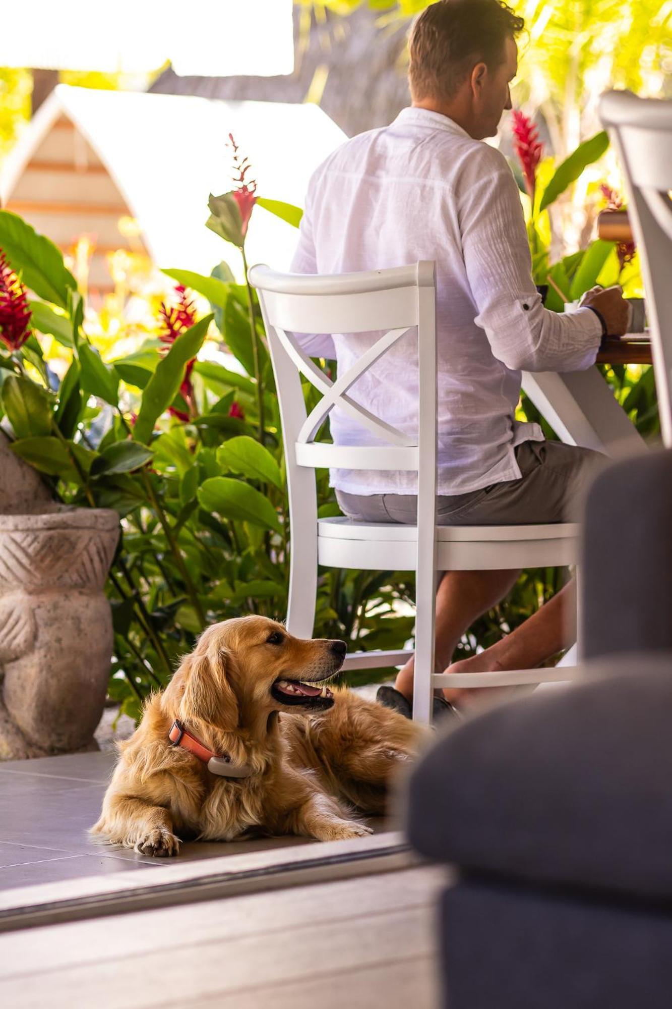 Les Voiles Blanches - Luxury Lodge タマリンド エクステリア 写真